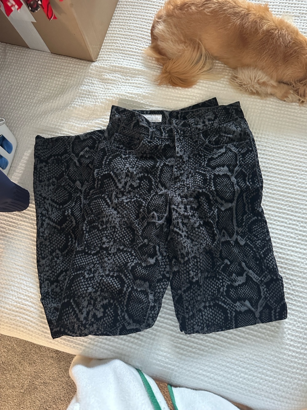 Black & Charcoal Snake Print Velvet Jeans